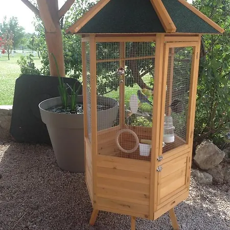 Bed & Breakfast Lobarat Panzio