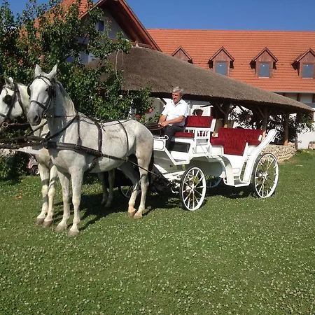 Bed & Breakfast Lobarat Panzio *